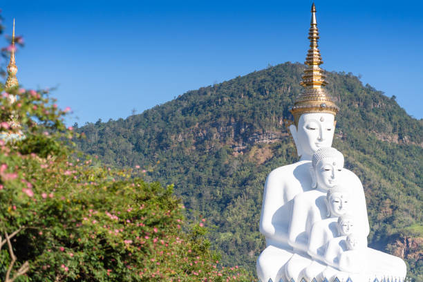 buddha statue installation at wat prathat phasornkaew petchabun province  thailand - gold pagoda temple synagogue imagens e fotografias de stock