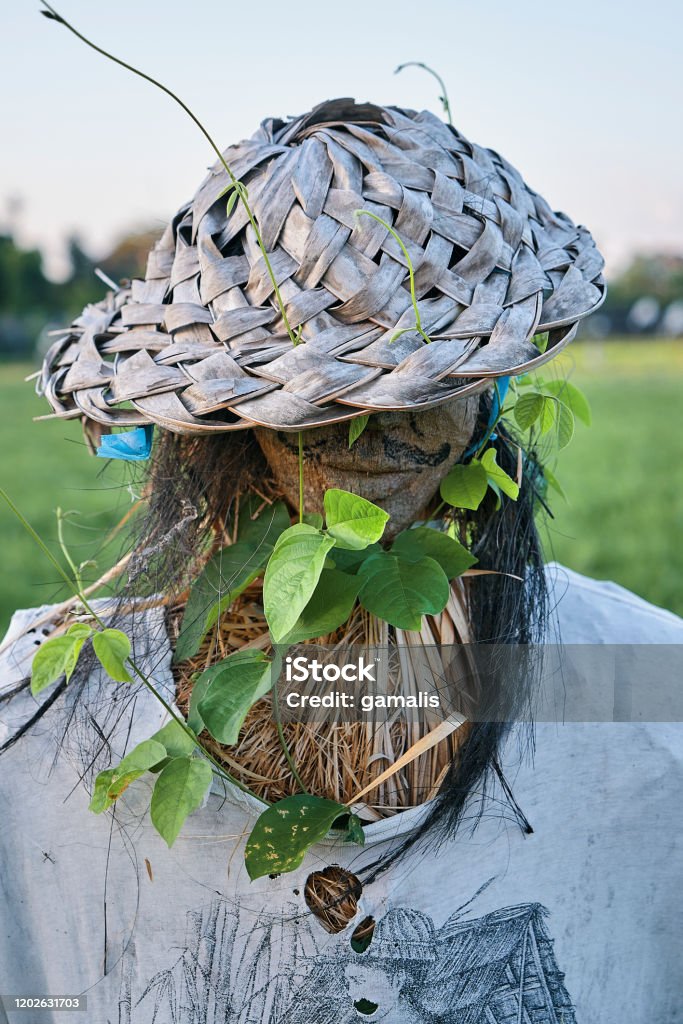 Portrait shot of Bali Scarecrow with the Guy Fawkes Mask Guy Fawkes Stock Photo