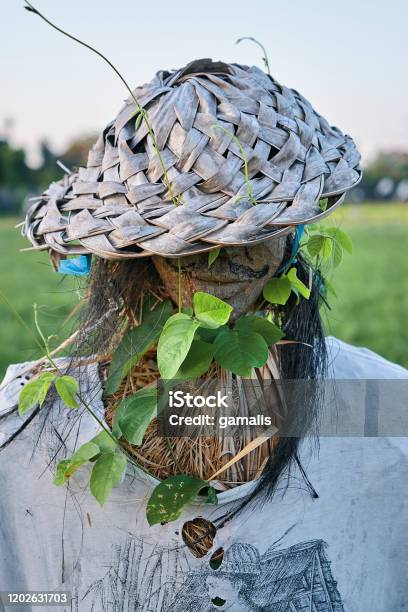 Portrait Shot Of Bali Scarecrow With The Guy Fawkes Mask Stock Photo - Download Image Now