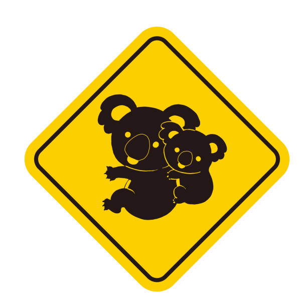白い背景にコアラ記号と注意サイン。 - koala sign australian culture animal点のイラスト素材／クリップアート素材／マンガ素材／アイコン素材