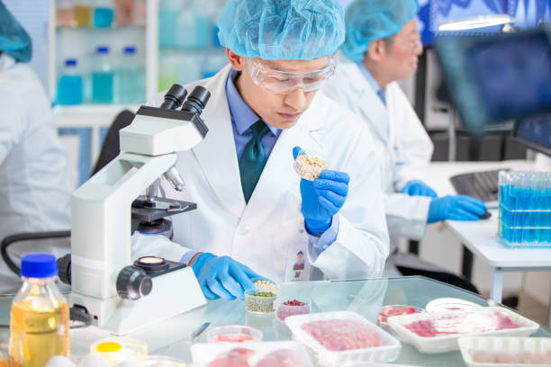 istock Food Safety Concept 1202641397