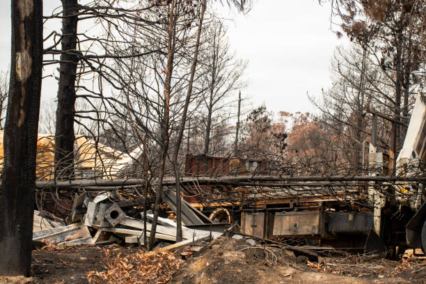 istock Australian bushfire aftermath: Burnt debris and rubble at Balmoral Village, Australia 1202643055
