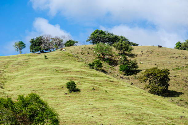 istock Beautiful grassland hills and a cloudy sky 1202644109