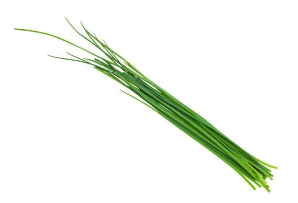 istock several fresh leaves of Chives isolated on white 1202649309