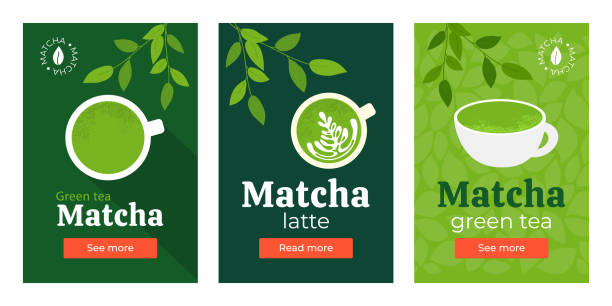 ilustrações, clipart, desenhos animados e ícones de conjunto de banners com matcha de chá verde - china tea crop chinese culture traditional culture