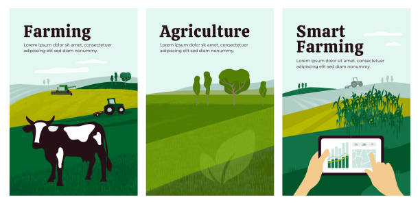 ilustraciones, imágenes clip art, dibujos animados e iconos de stock de ilustraciones de la agricultura, la agricultura inteligente, la ganadería - agriculture field tractor landscape