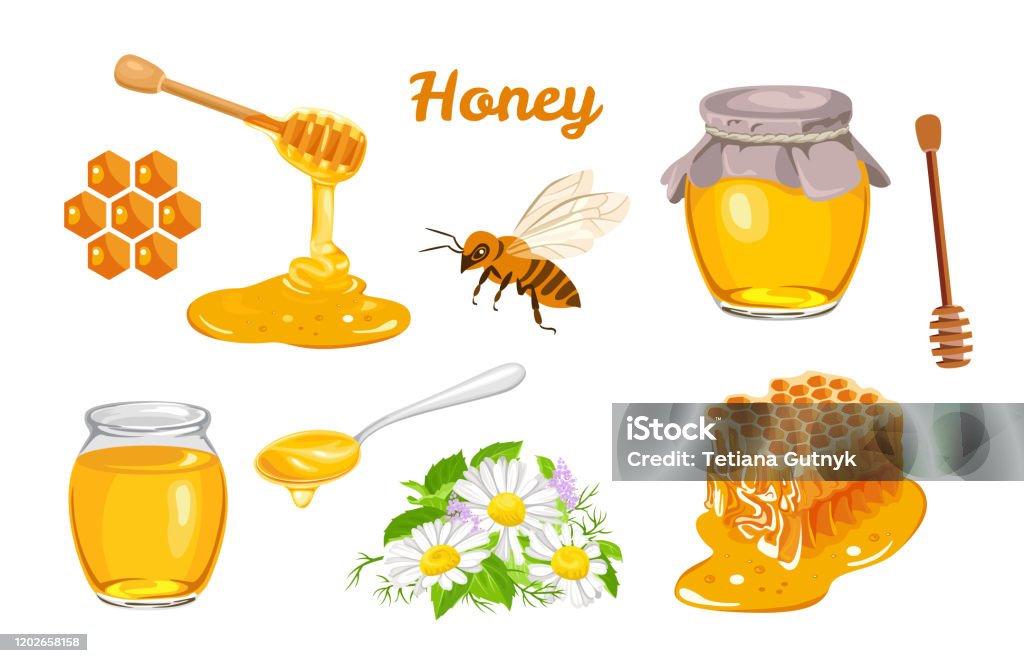 Honey Set Honeycombs Bee Honey In Glass Jar Wooden Honey Dipper Honey In  Metal Spoon And Flowers Isolated On White Background Vector Illustration Of  Organic Natural Sweets In Cartoon Flat Style Stock