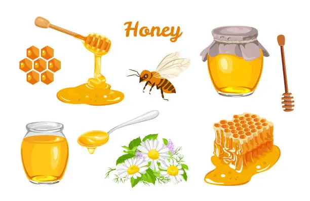 Vector illustration of Honey set. Honeycombs, bee, honey in glass  jar, wooden honey dipper, honey in metal spoon and flowers isolated on white background. Vector illustration of organic natural sweets in cartoon flat style