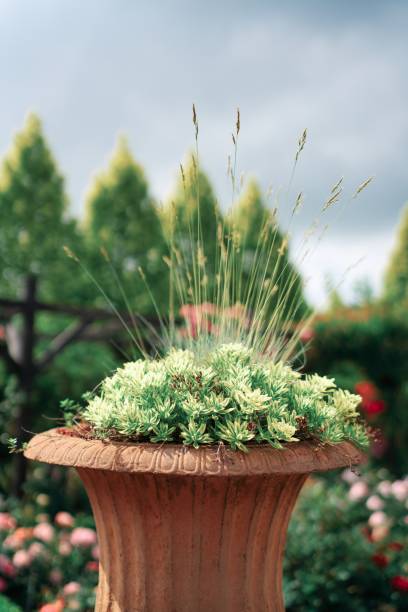 istock Beautiful summer garden 1202659594