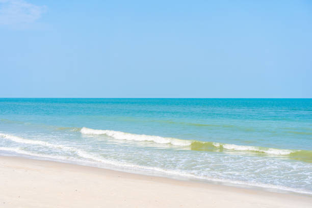 istock Beautiful tropical sea ocean around beach with blue sky white cloud 1202668754