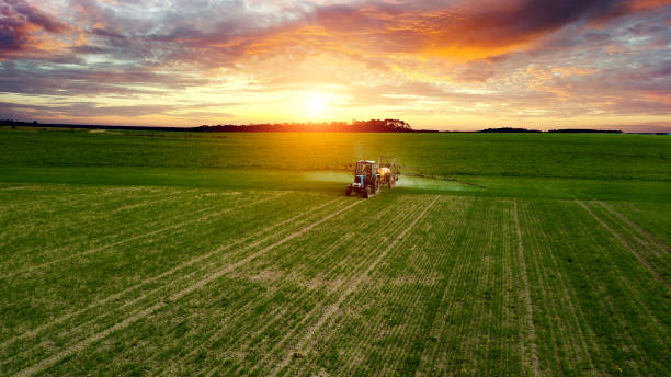 istock farmer working in the field on a tractor until sunset 1202670381