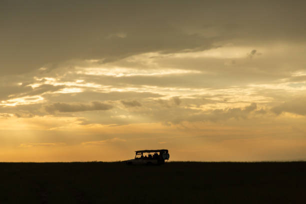 지프의 실루엣 - masai mara national reserve sunset africa horizon over land 뉴스 사진 이미지