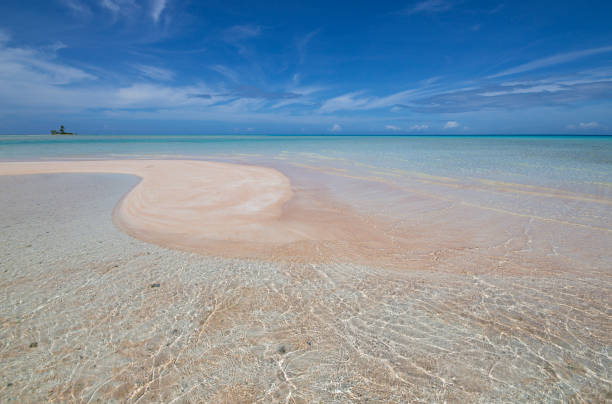 beautiful pink sand beach - harbor island imagens e fotografias de stock