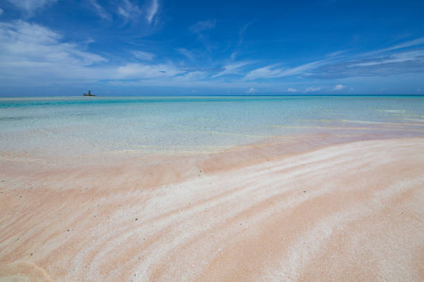розовый песчаный пляж в полинезии - harbor island стоковые фото и изображения
