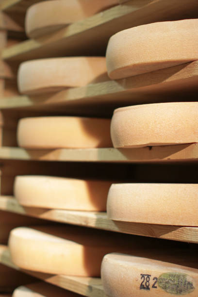 istock stack of refining Comte cheese wheels on wood shelves, France 1202679330