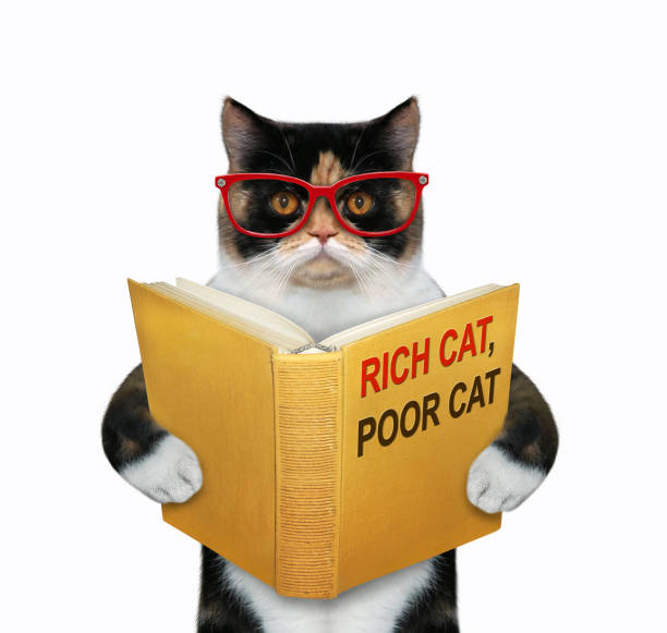 istock Cat wants to be rich 2 1202683174