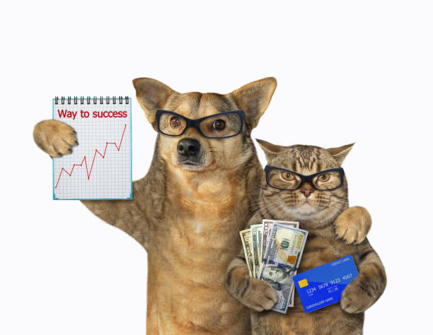 istock Dog and cat are bankers 1202683237