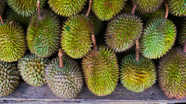 istock Large group of Durian Fruit 1202684201