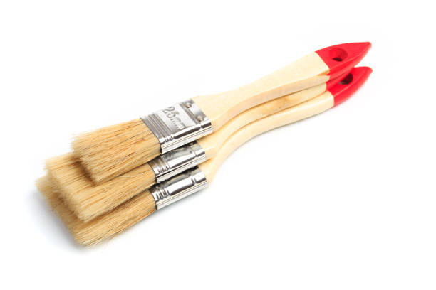 istock set of paint brushes  isolated on a white background 1202686562