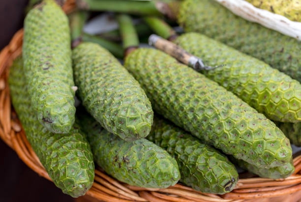 ananas-banana fruit (monstera deliciosa) at mercado dos lavradores. funchal, madeira, portugal - cheese plant - fotografias e filmes do acervo