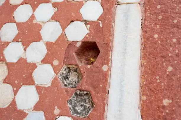 Photo of Detail of wall decoration pattern of white marble and red sandstone with bee on the Tomb of Akbar the Great in Agra on overcast day