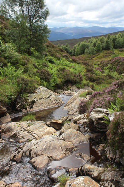 istock Scenic valley view 'Edramucky Trail', Scotland 1202689861
