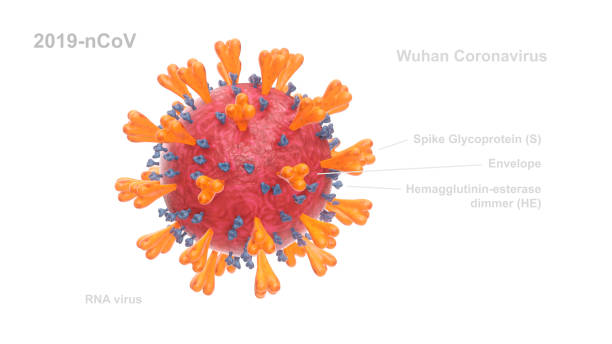 abs 2019-ncov virus poster - flu virus russian influenza swine flu virus imagens e fotografias de stock