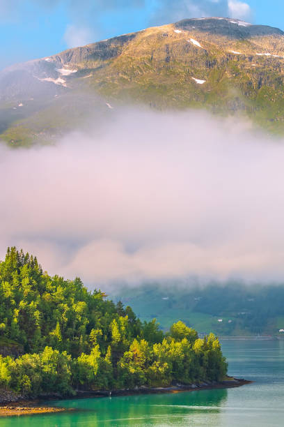 istock Norway fjord and forest mpuntains landscape 1202693006