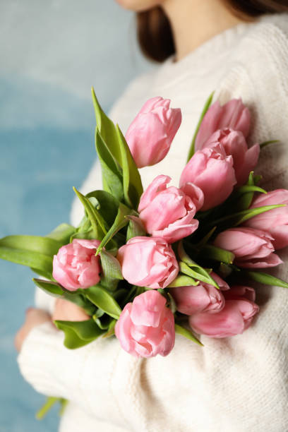 frau hält strauß von tulpen auf blauem hintergrund, nahaufnahme - tulip blue close up cut flowers stock-fotos und bilder