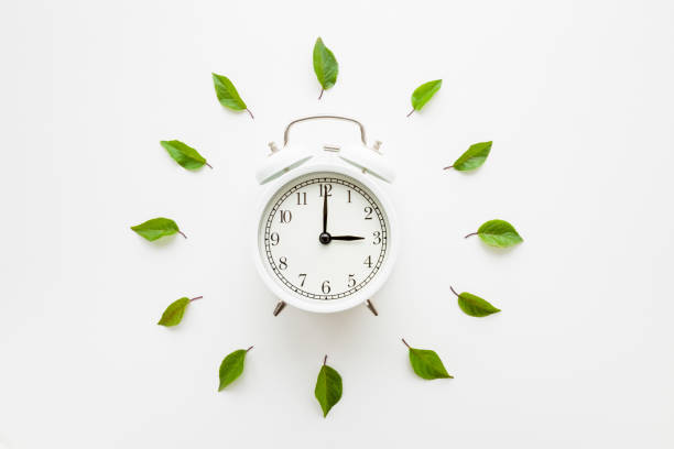 hojas verdes alrededor del reloj despertador blanco sobre el fondo de la mesa de luz. concepto de cambio de hora. closeup. vista de arriba hacia abajo. - clock hand fotos fotografías e imágenes de stock