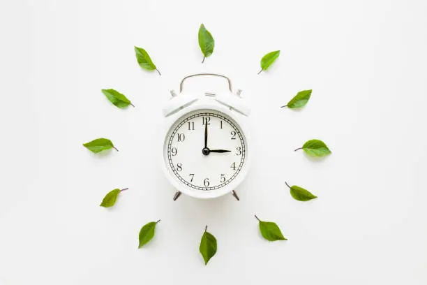 Photo of Green leaves around white alarm clock on light table background. Time change concept. Closeup. Top down view.