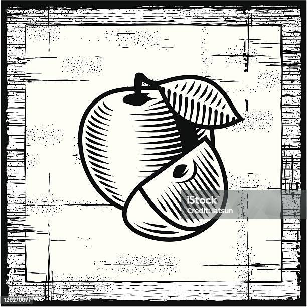 Ретро Apple Черный И Белый — стоковая векторная графика и другие изображения на тему Яблоко - Яблоко, Векторная графика, Гравюра на дереве