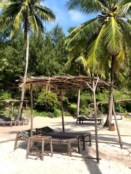 istock rustic wooden tropical beach cabana 1202700999