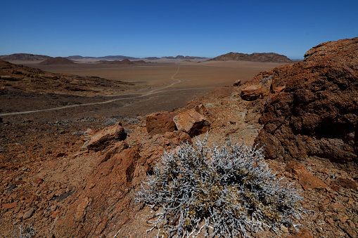 The photo is taken from a slightly elevated position. In the centre of the photo is a small bush, and there is a rock face to the right. There is a dirt road on the left, and in the far distance is part of the crater wall. The sky is blue and the rocks are red. It is in the Namib desert. The photo is wide angle.\n\nMessum Crater is in the Erongo region (formerly Damaraland) of Namibia. It is close to Brandberg Mountain. The crater was formed between 132 and 135 million years ago by a  volcano. It is 18 km to 25 km across and is situated in the Door National Park, Namibia\n\n The photo was taken in February 2019.