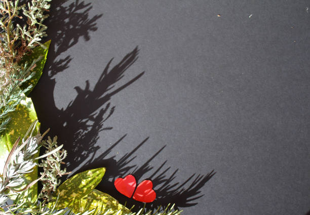 Evergreen branches frame with small little heart on black background, concept, st valentine day, Serbia