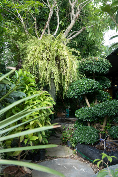 istock Walkway in the green garden 1202705763