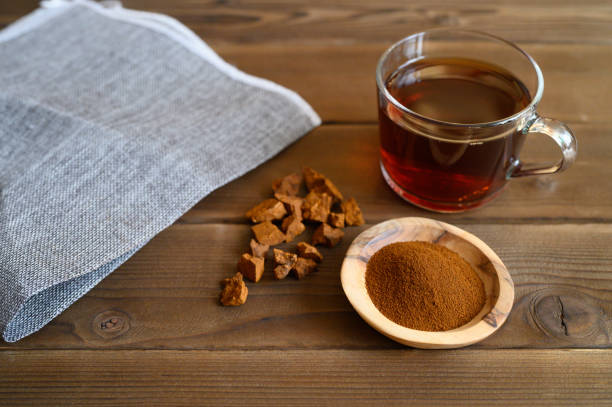 istock chaga tea mushroom from birch tree using for healing tea or coffee in folk medicine. ground powder 1202706283