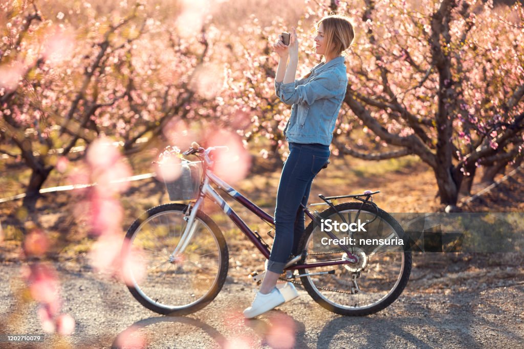Pretty young woman with a vintage bike taking photographs of cherry blossoms on the field in springtime. Shot of pretty young woman with a vintage bike taking photographs of cherry blossoms on the field in springtime. Springtime Stock Photo