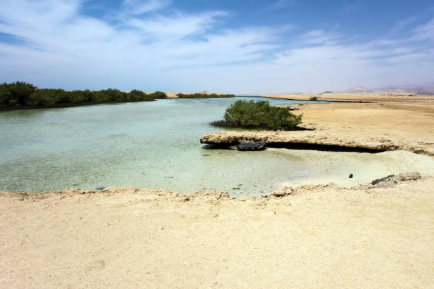istock Ras Mohammed Mangrove Channel desert, Egypt. 1202710746