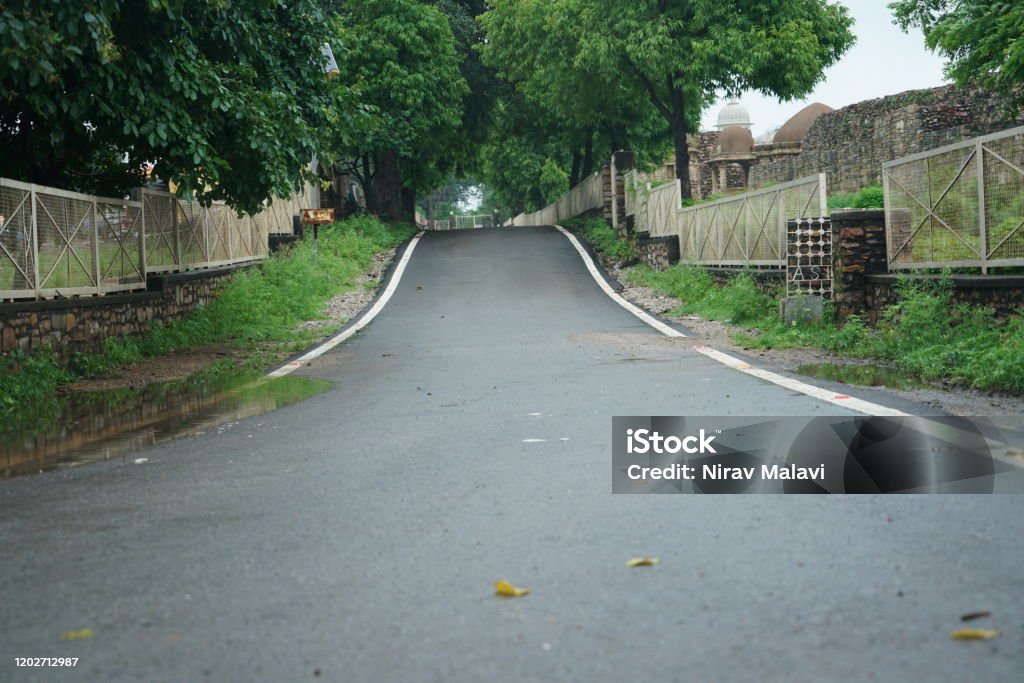 A tree-lined road in Rajasthan, India A road with dense trees in India Ancient Stock Photo A tree-lined road in Rajasthan, India A road with dense trees in India Ancient Stock Photo