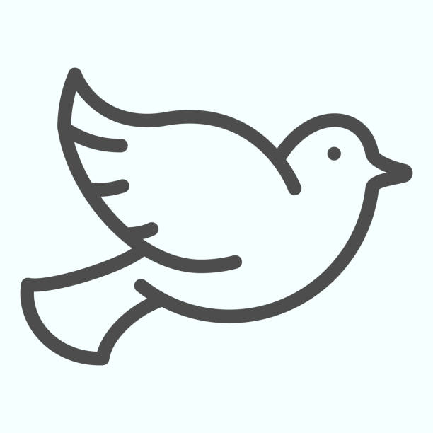 平和線アイコンの鳩。●白に分離された飛ぶ鳥ベクトルイラスト。webとアプリのために設計された鳩のアウトラインスタイルのデザイン、eps 10。 - freedom square点のイラスト素材／クリップアート素材／マンガ素材／アイコン素材