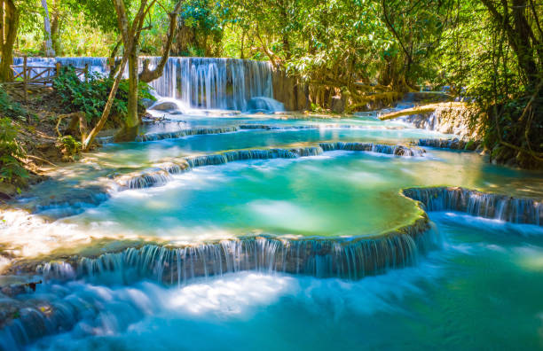 istock Kuang Si Waterfall, Luang Prabang, Laos 1202716214