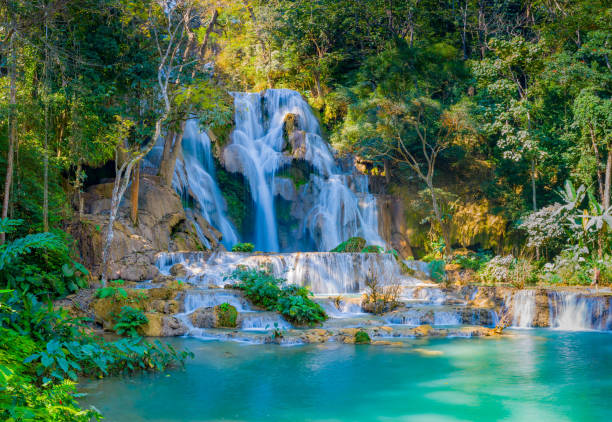 istock Kuang Si Waterfall, Luang Prabang, Laos 1202716544