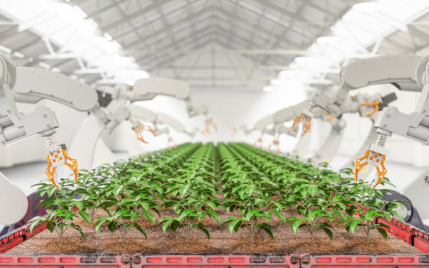 istock Modern Organic Farmhouse With Robotic Arm 1202720756