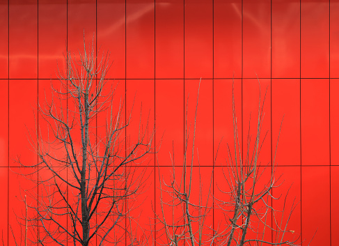 Red glass facade of modern office building