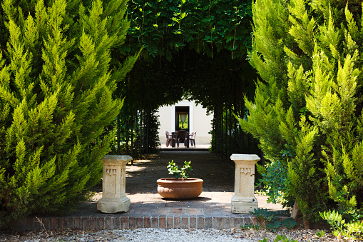 Beautiful romantic archway under trees with sunshine at the end of the road. Tunnel of love formed by trees