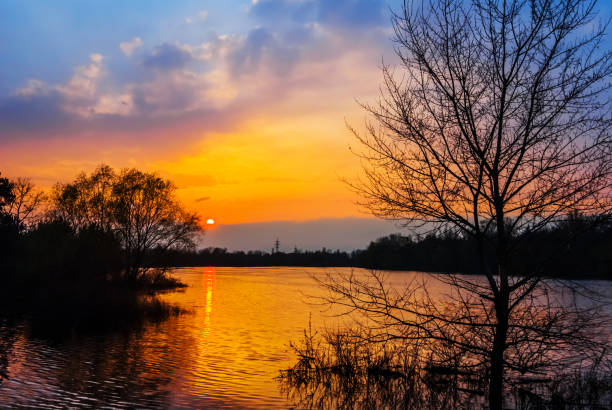 istock quiet lake scene at the sunset 1202725016