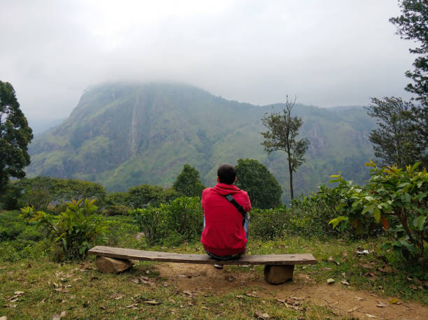 istock The guy is resting on a bench in the jungle overlooking a high mountain 1202728057