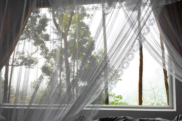 istock View of the mountain from the window 1202728385