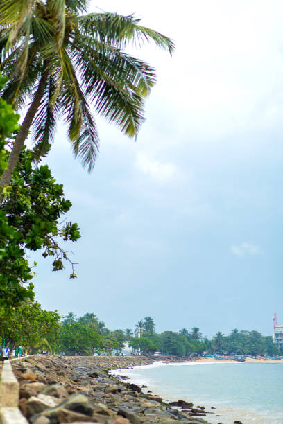 istock Stone beach ocean coast. Tropical landscape 1202728466